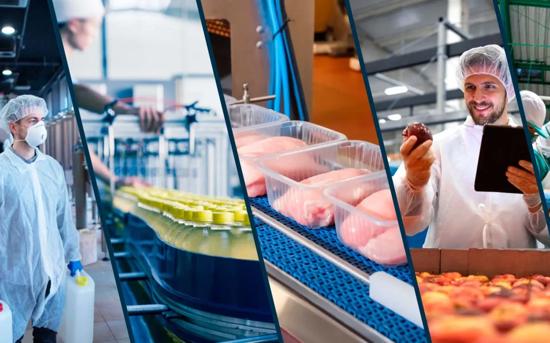 Qué es la norma ISO 22000, importancia y vocabulario